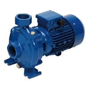 Bomba Centrifuga Gran Caudal Reggio Cfm 300 3hp 2x2 220v