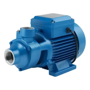Bomba Centrifuga 0.5hp Bomba Periferica Bomba De Agua