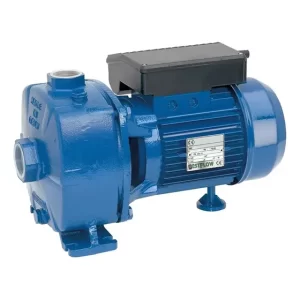 Bomba Centrífuga Doble Impulsor Bestflow 1.5 Hp 220v