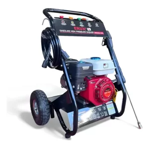 Hidrolavadora Japonesa Alta Potencia 3000 Psi 170Bar